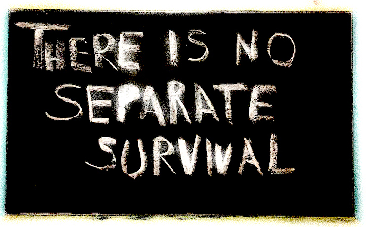 There is no survival